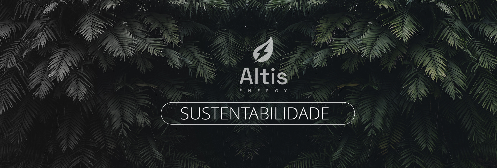 banner-1-altis-energy