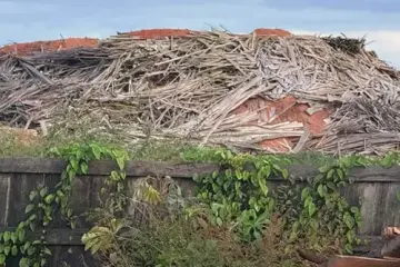 Projeto Três Fronteiras no Norte do Mato Grosso - madeira empilhada