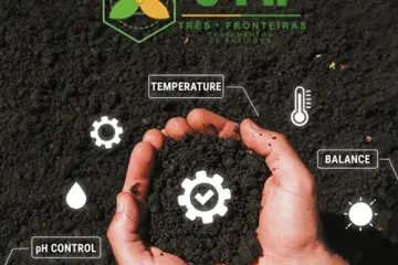 Projeto Três Fronteiras no Norte do Mato Grosso - resíduos de madeira armazenados